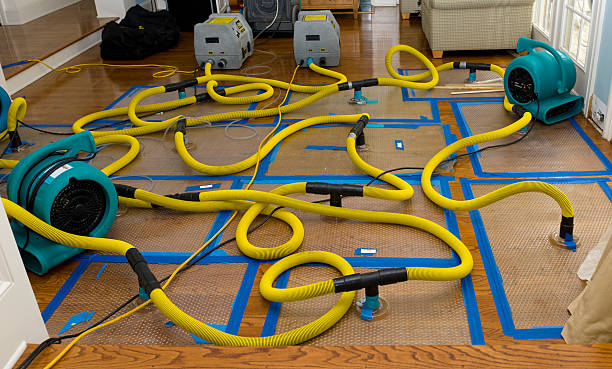 Professional Structural Drying And Dehumidification technician working in Hanover, IN